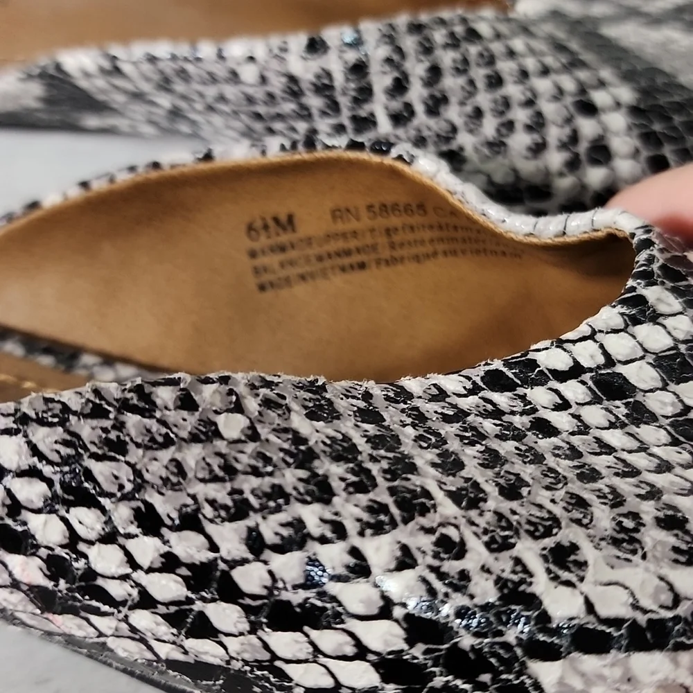 14th and Union Snake Slides - Picture 7 of 7